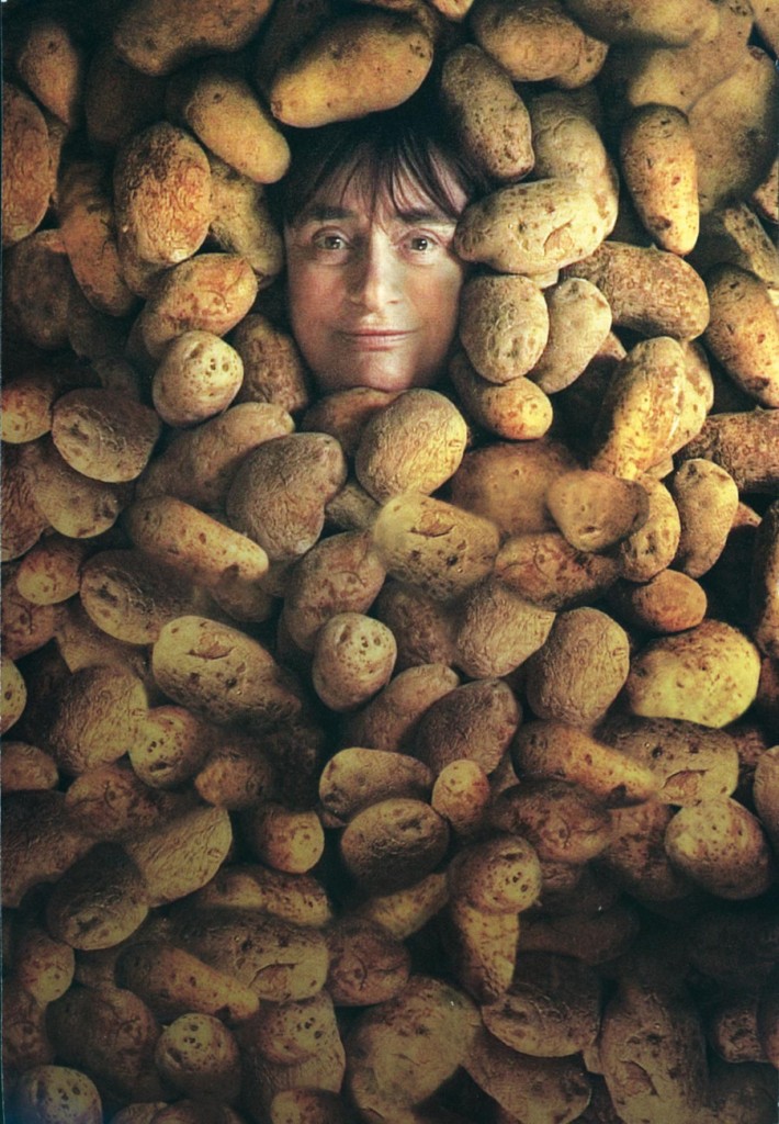 poster for dissidents