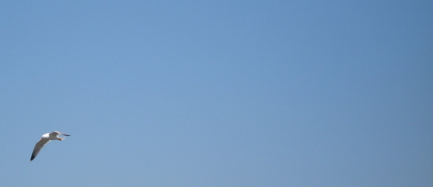 Image for "I heard that you missed your connecting flight."